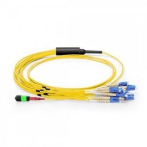 Custom MTP cable